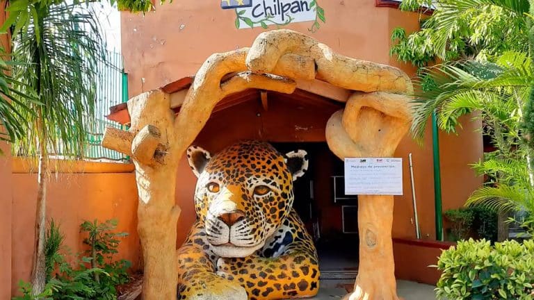 Detectan irregularidades en Zoológico de Zoochilpan de Chilpancingo