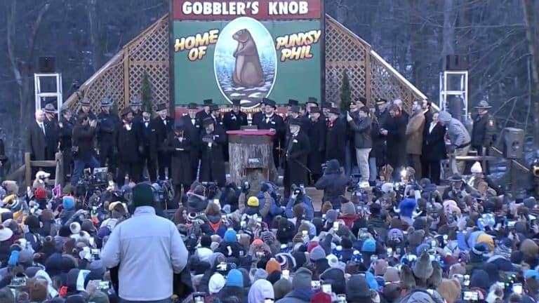 Celebran el Día de la Marmota en Punxsutawney en Estados Unidos